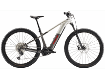 Trek Powerfly+ 6 Gen 5 lunar silver/mercury